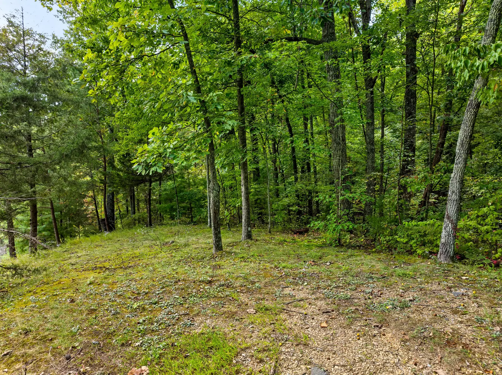 2616 Sunset Cir