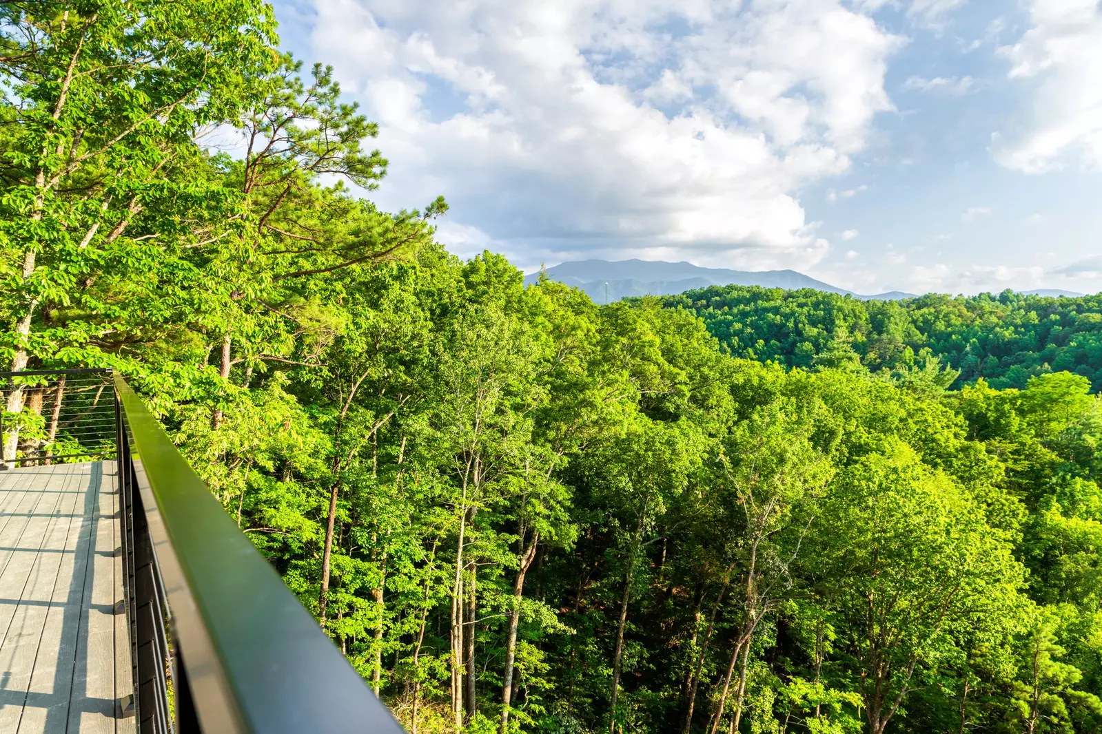 3819 Heavens View Lane