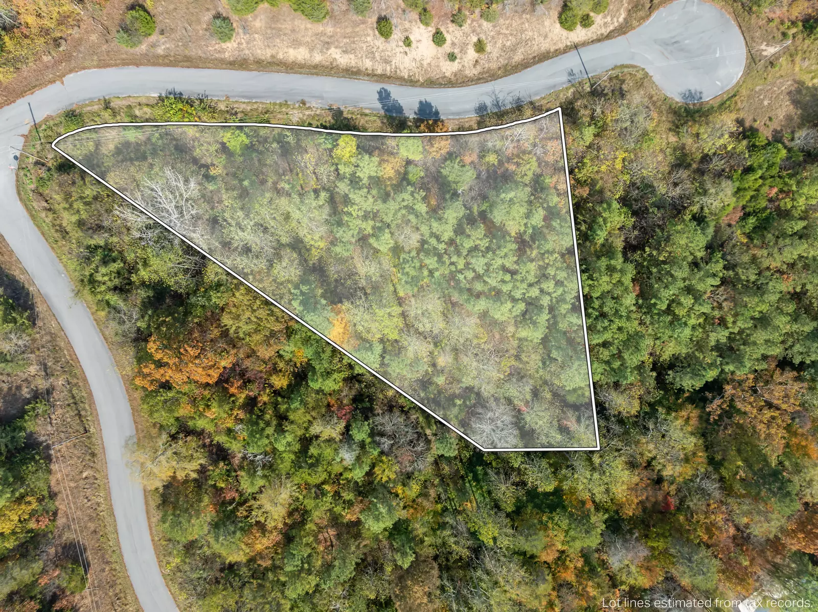 LoT 57 Fork Horn Trl