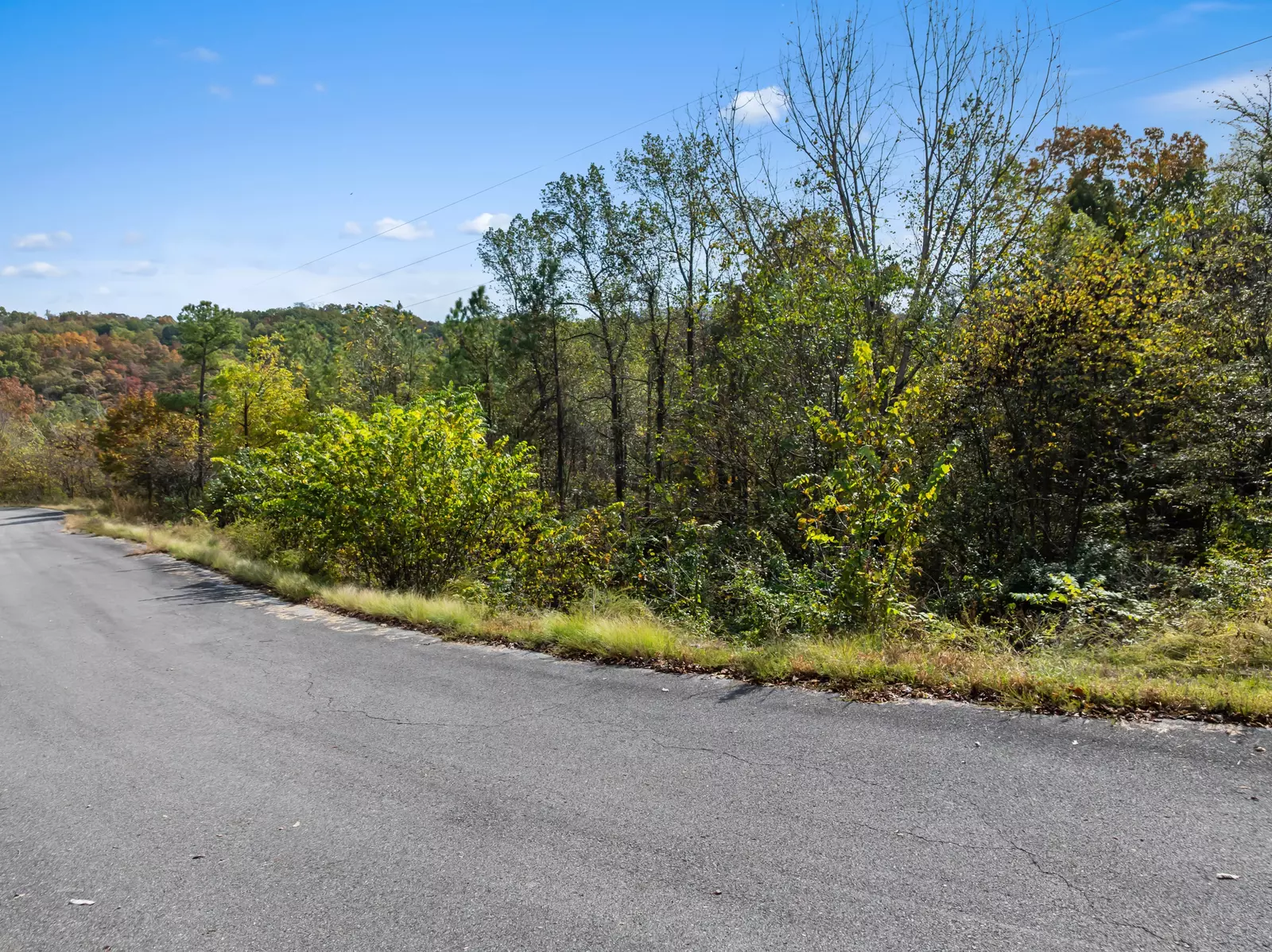 LoT 57 Fork Horn Trl