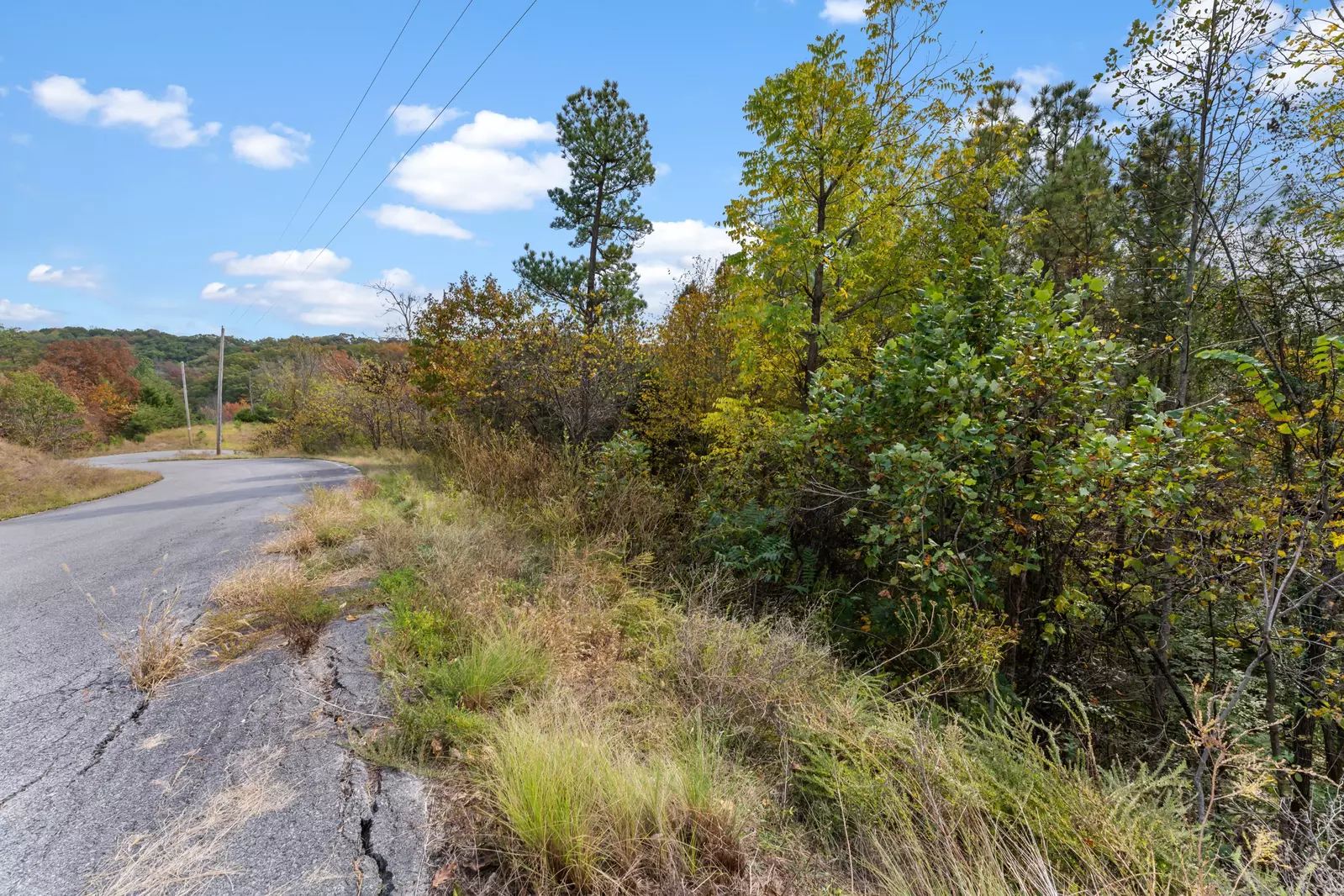 LoT 57 Fork Horn Trl