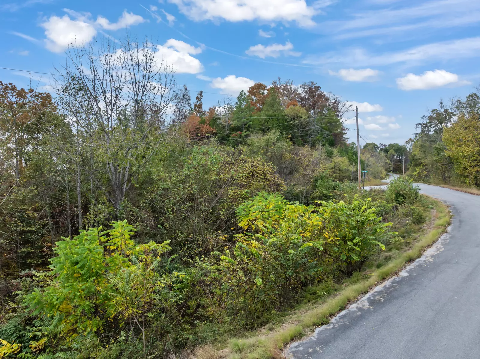 LoT 57 Fork Horn Trl