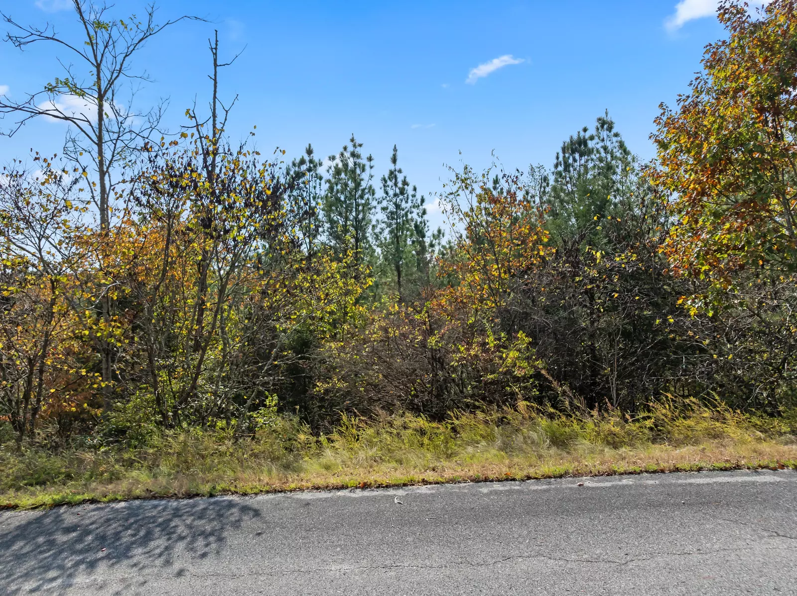 LoT 57 Fork Horn Trl